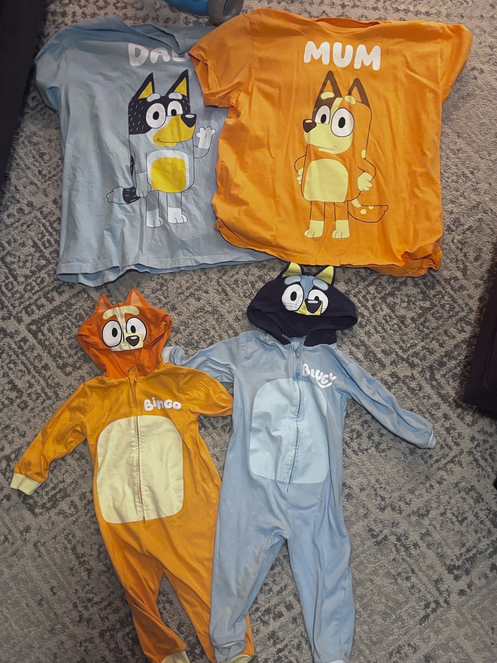 Bluey Family Costumes